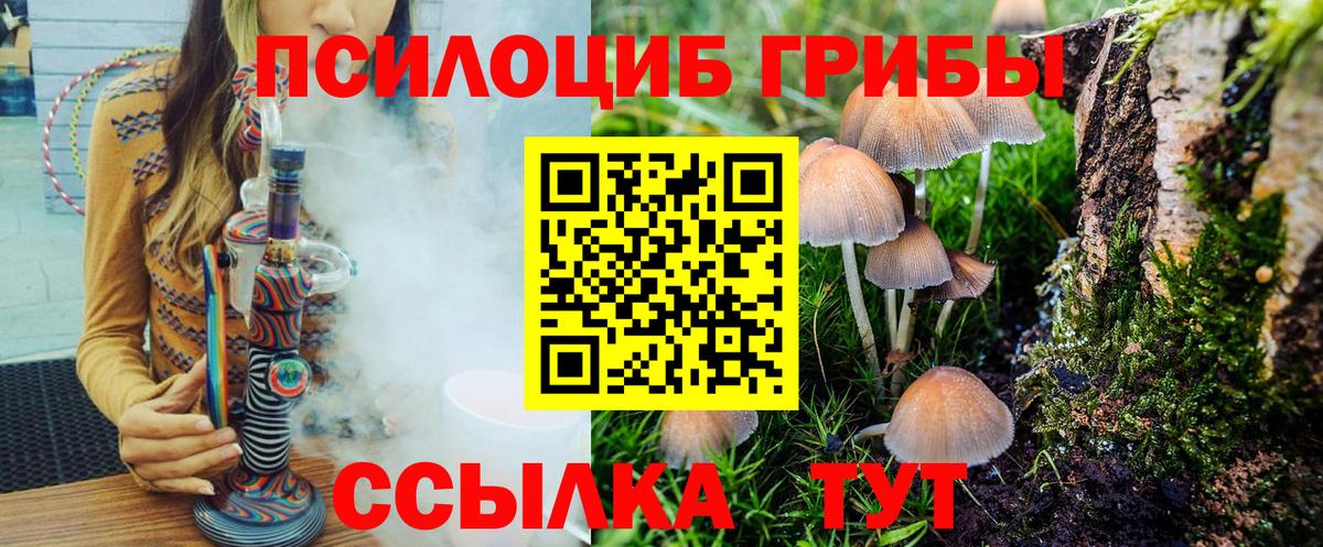 Верхняя Пышма  Псилоцибиновые грибы Magic Shrooms  Галлюциногенные грибы Psilocybine cubensis  сколько стоит  Вход с VPN 